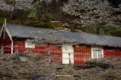 2025-Norvegia-018