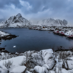 Norway-Zsolt-Reine