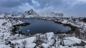 Norway-Zsolt-Reine