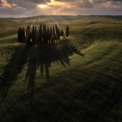 Tuscany-Krisz-Tuscany-Grove-1