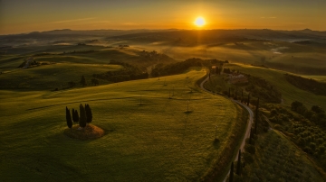 Tuscany-Zsolt-Tuscany-Grove-1