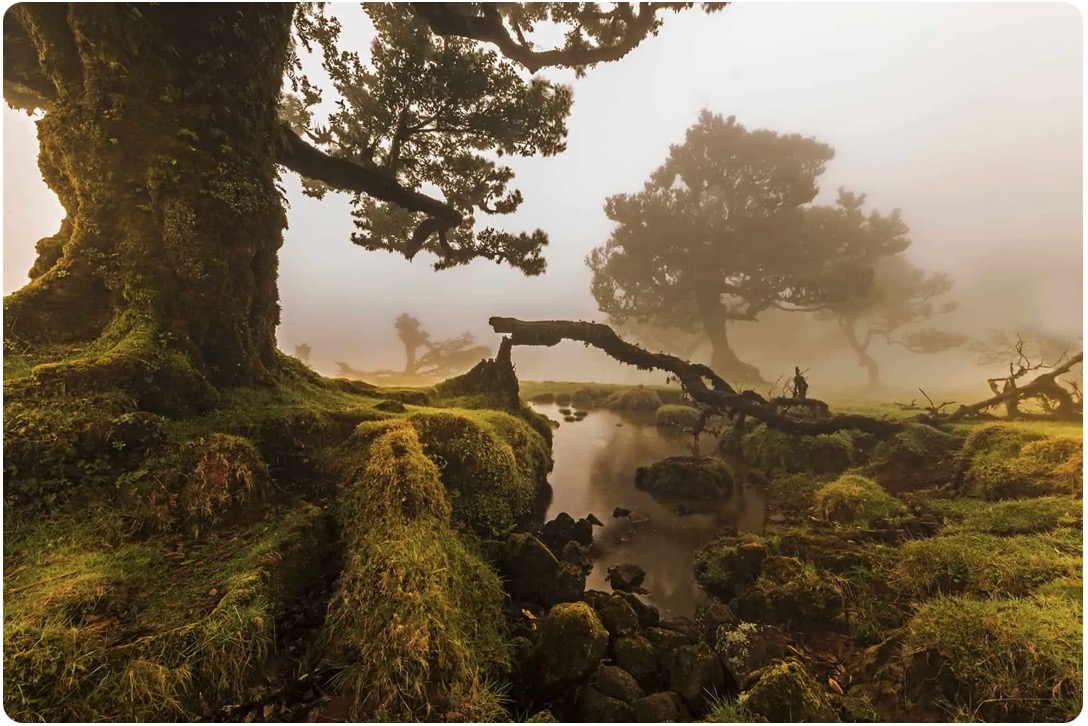 Madeira